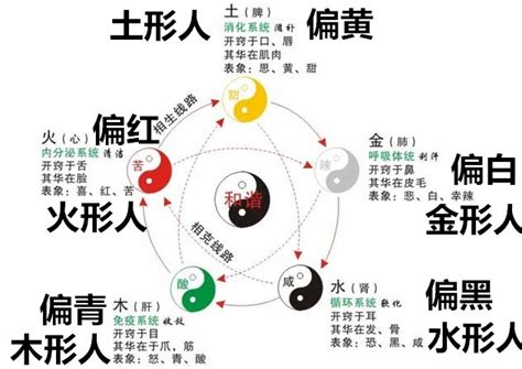 五行火多的人|【火多的人】五行火過盛：火多的人，你該注意的事項！